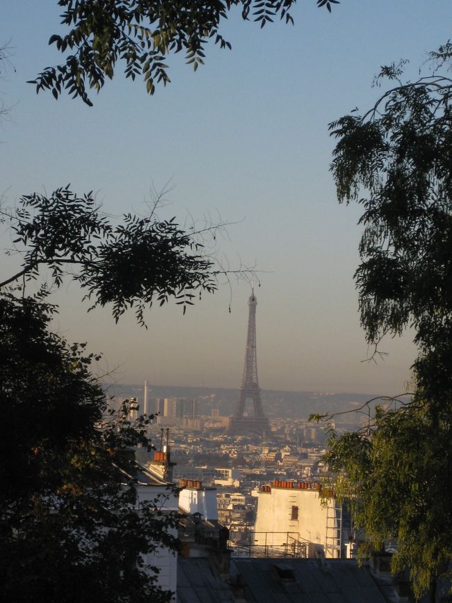 木陰から見えました♪
