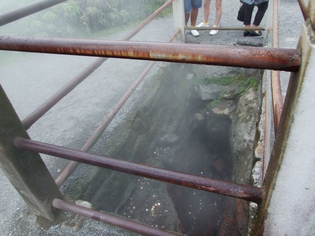 その後は地熱がでている場所へ。<br /><br /><br />