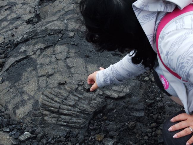触ってみる。<br /><br />シャリってします。<br /><br />りりこに、ハワイ島は溶岩地帯が多いから、転ぶと危険なので気をつけてと注意があった。<br /><br />ガラスのようなものらしく、小さな溶岩を潰したりしないでねと。