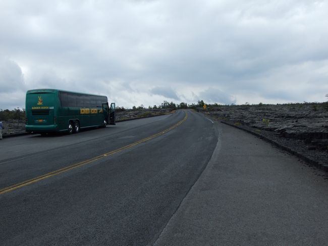 サドルロードです。<br /><br />この道も溶岩で埋まってしまい、道に舗装しなおしたそうです。