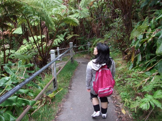 鳥が鳴いてました。<br />