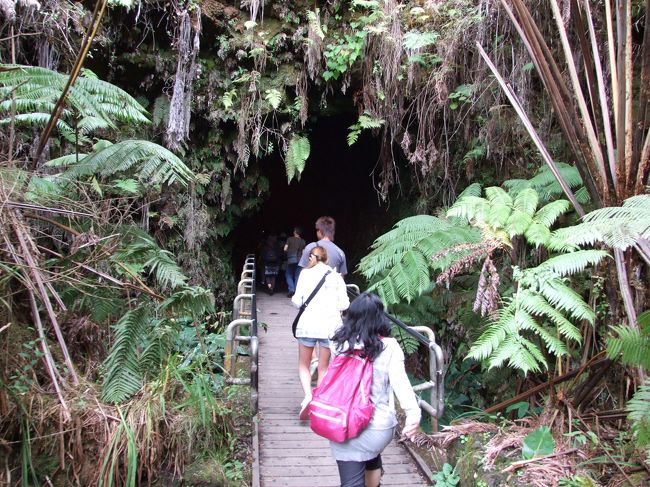 ここが入り口です。<br /><br />さて、オーラは見えるのでしょうか??<br />