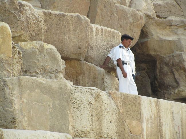 ちょっとアップで撮ってみました。