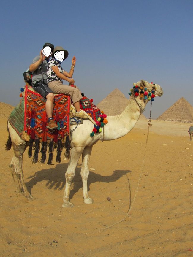 砂漠でラクダに乗るなんて思っていませんでした。<br />結構高さがあるのですよ。<br />でも、ラクダは本当に大人しい生き物みたいです。<br /><br />ただ、このラクダ乗り、私たちはツアーの現地ガイドさん紹介の所で乗ったので大丈夫でしたが、<br />乗るのに10ドルと言っておいて、降りたかったら100ドルなどと言うひどいぼったくりもいるそうです。