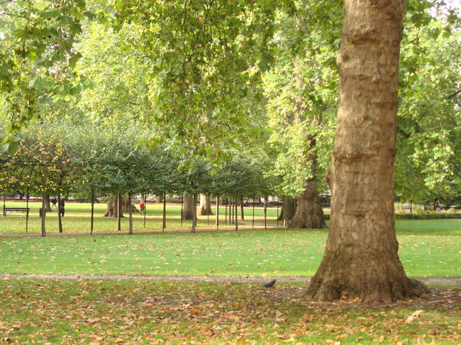 <br />　　ホテル横の公園は当たり前のように<br /><br />　　リスがちょこちょこ動きまわっています。