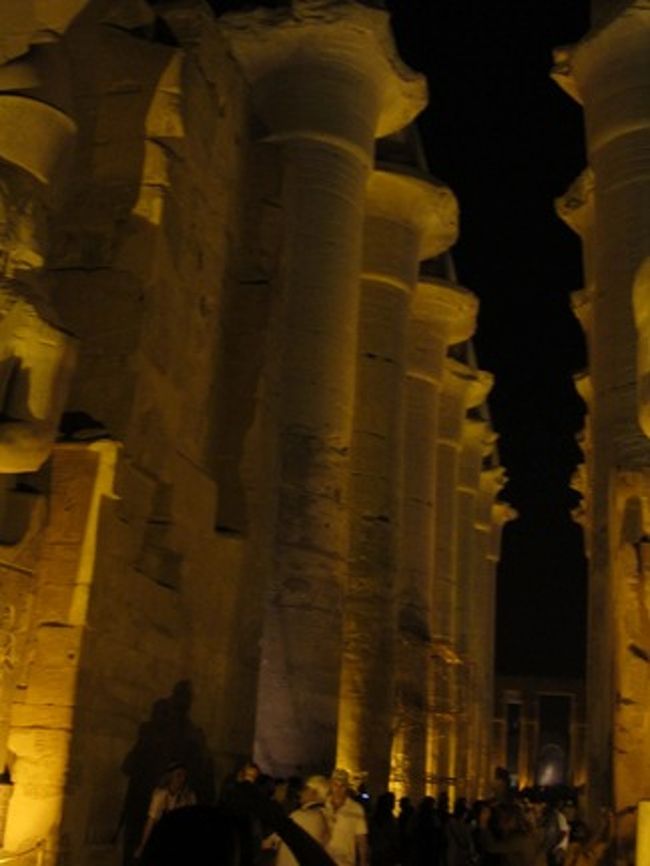 柱の列も、昼間とは別の表情をみせてくれています。