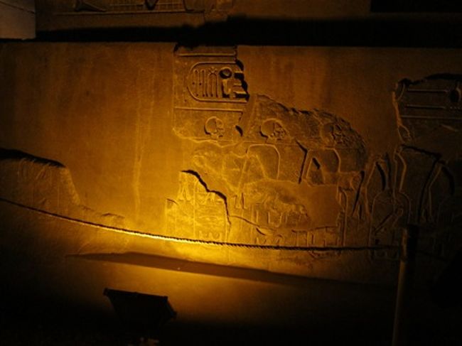 壁画もくっきりと見える光です。