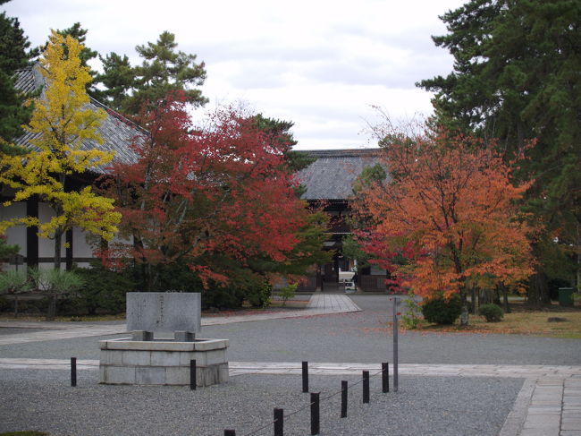 講堂と仁王門。