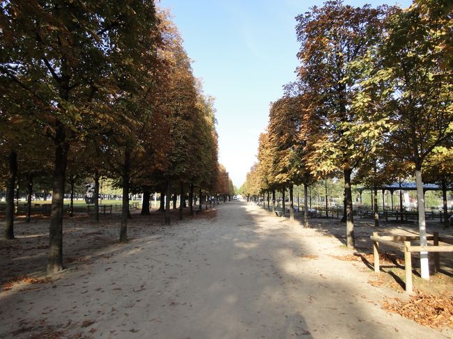 <8日目><br />天気が良かったので宿泊先の「ティモテルルルーブル」からオペラ座まで歩くことに。<br />ルーブルの西側に延びるチュイルリー公園を散歩がてらのんびり歩きます。<br />紅葉が色付き始めてて良い感じです。