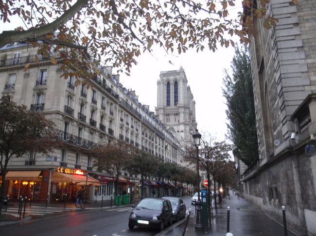 見えてきました。