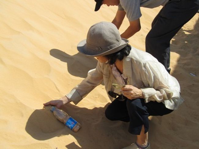 アスワンダムから少しバスで行ったところに、<br />きれいな砂漠の砂がある場所があるからと<br />現地ガイドさんに勧められて、とってきました。<br />砂漠は意外に石だらけで、砂もきれいじゃない場所が多いのですが、<br />ここの砂はさらさらでした。<br />エジプト製のガラス細工の瓶に詰めて飾ろうと思いました。