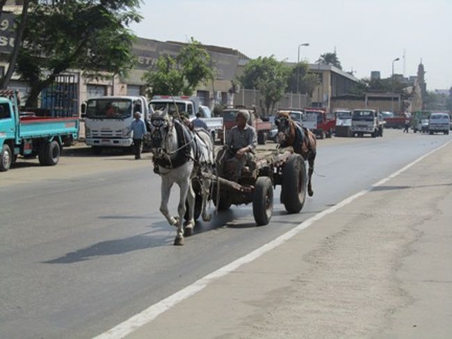 馬車が普通に車道を通っています。<br />