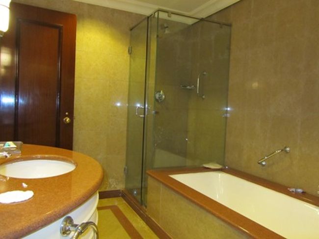 シャワーブースが別れているのはエジプトに泊まった中、ここだけでした。<br />やっぱり便利ですよね。