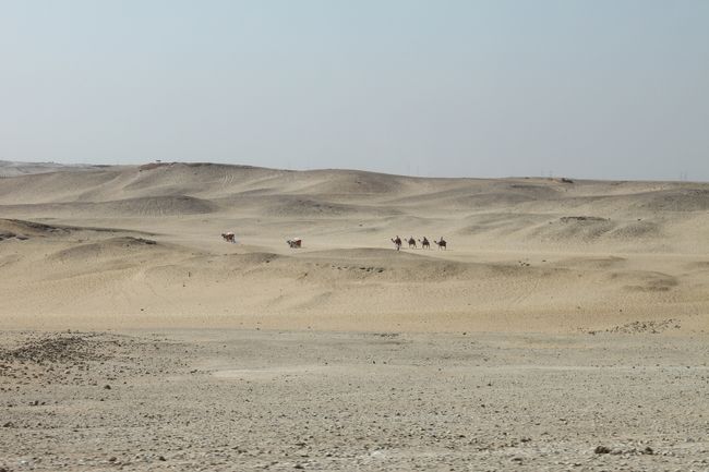 ザ・エジプト<br /><br />