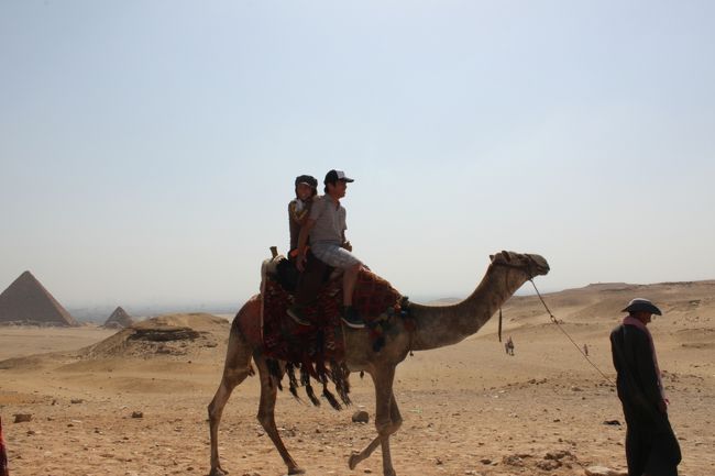 ラクダに乗りました。<br /><br />高い。怖い。ゴツゴツしていました。