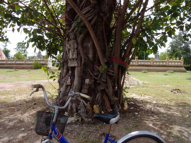 寺の中。<br /><br />大きい木の周りに仏像がいっぱい置いてある。