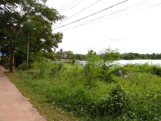 おだやかな風景<br /><br />だけどココはどこ？<br />ま、迷ってなんかないもんね！