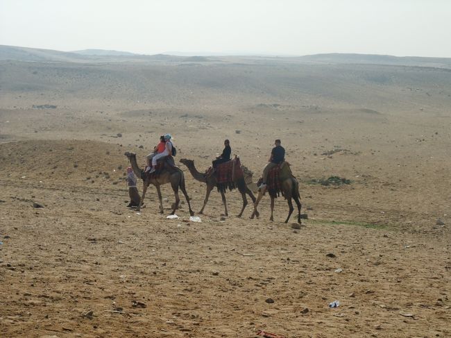 　ピラミッドを見ながら「乗ラクダ」体験。<br />　ワタクシもしましたよ。ぼったくられてるような価格でしたけど、まぁ、記念・記念。