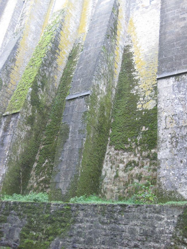 外に、出ると小雨が・・・・<br />苔むす感じが好き♪<br /><br />一層、人が増えてきた感じ。<br />食事を終えてから入ってくる人とたくさん<br />すれ違う。