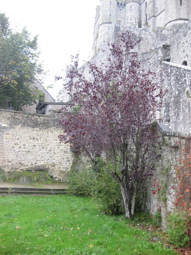 紅葉している。<br /><br />歴史的建造物ももちろんいいけれど、<br />自然の造形にやはり心奪われると感じる。