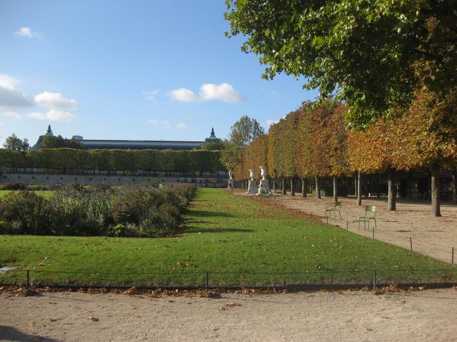 カフェをすすりながら、チュイルリー公園<br /><br />色づく木々