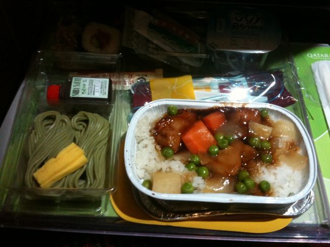 最後の機内食。これは、蕎麦は食べることが出来た。<br /><br /><br />ってことで、今回の旅行記は終了。<br /><br />まとめますと、ピラミッドや自然や建物や気球とか、良いものを見ることが出来たし普段出来ない体験が出来たのは満足。<br /><br />でも、もう安全を確認しながら交渉するのには疲れた。そしてデジカメも無くなって悲しいし、最後は体調まで崩してしまって、良くない思いでも出来てしまいました。<br /><br />次の海外は、都会に行きたいかもなー。