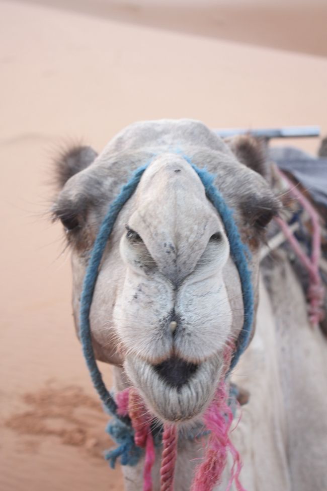 　<br /><br /><br /><br />ちょっと待っててね♪