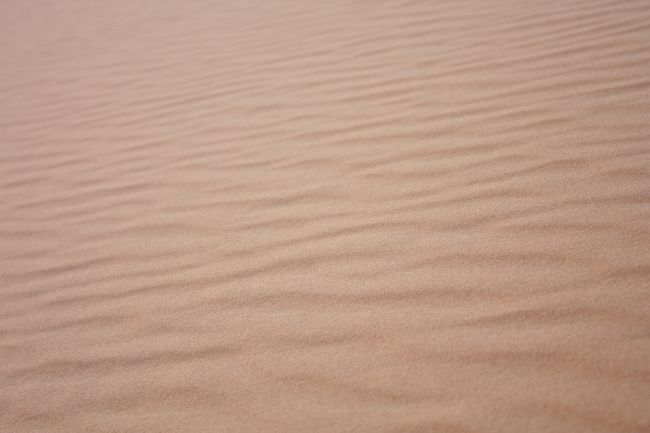 昨日は穏やかな風でしたが、こんな風に波紋ができています。<br /><br /><br />自然の力って素晴らしい！