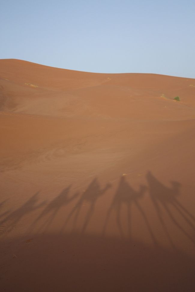 前から2番目が自分の影です。（どれも同じですが。。）<br /><br /><br />この後、時間が経つにつれて、キャラバン隊の影はどんどん伸びていきました。