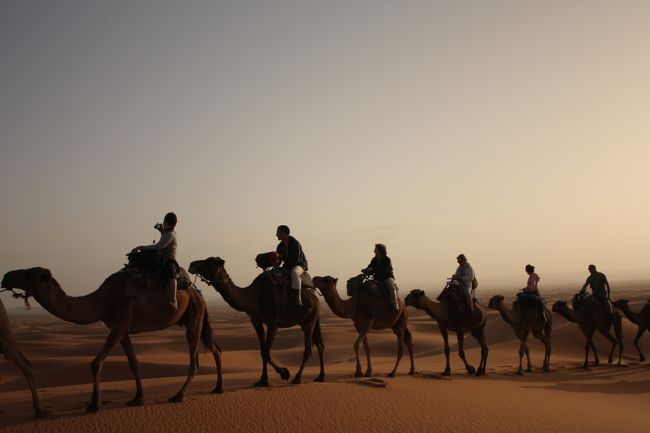 キャラバン隊もあとわずか。<br /><br /><br />ちょっと名残惜しい気分。