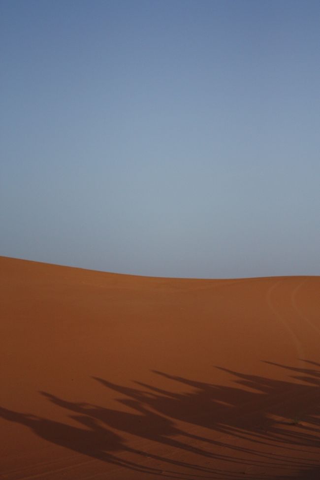 <br />　<br /><br />真っ青な空。<br /><br /><br /><br /><br />今日は雲ひとつありません。