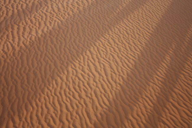 地面をアップにしてみると。。やっぱり、ここにも細かい波紋が。<br /><br /><br />毎日毎日、風にさらわれては新しい模様を生み出しているんですね。