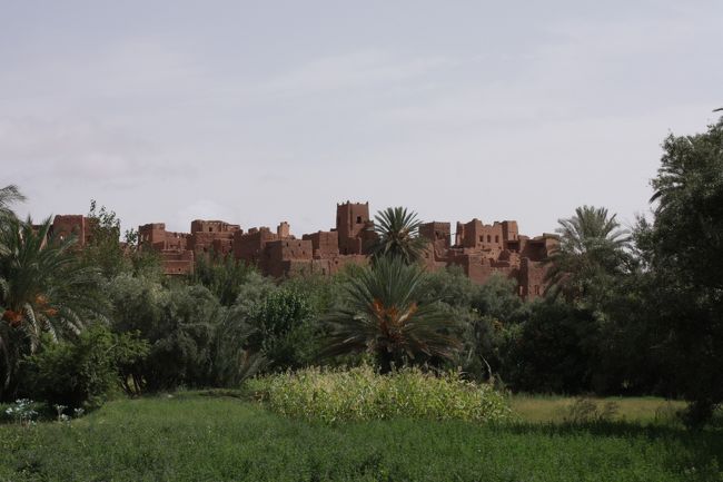 途中のビュースポットに止まりながら進んできましたが、ここで、車からがっちり降りて観光するようです。<br /><br />ちょうど10時を回ったところ。