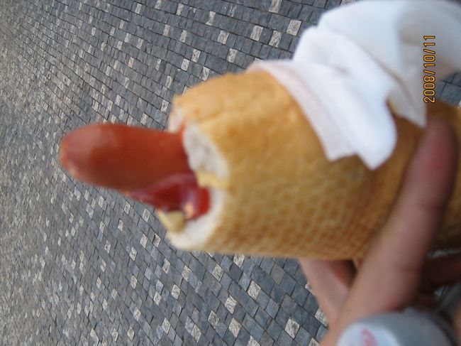 昼飯です。<br />朝、ホテルでたくさん食べているのでこんなんで十分です。（一人だと店に入り辛いし．．．）<br />駅前の広場で購入。<br />ちょっと特徴があってパンを切っているのではなく、くり抜いてソーセージが入れられています。