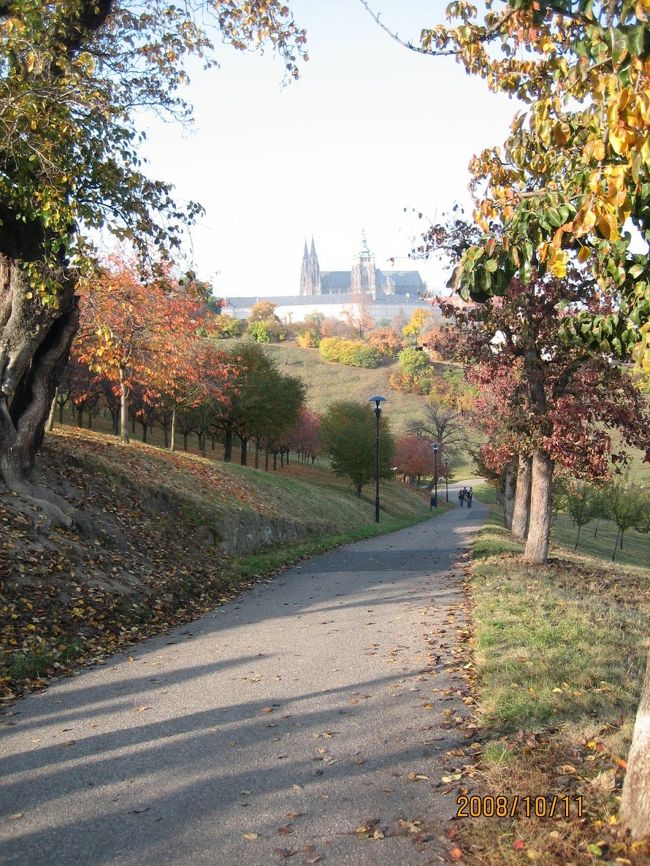 さてペトジーン公園へやってきました。<br />プラハ城をパチリ。<br />紅葉が綺麗です。