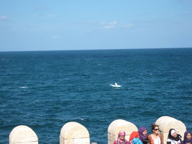 あれ、なんだ？！