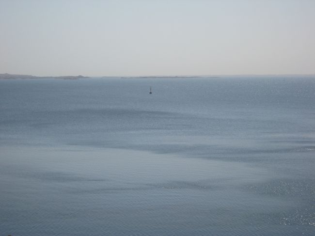 なにかとおくに見える。