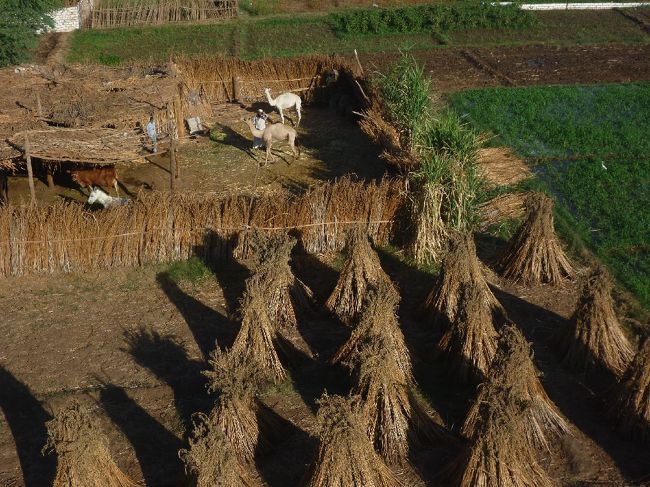 これは何を作ってるんだろう〜？