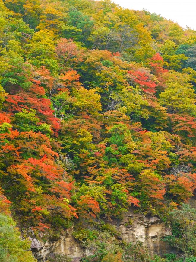 ぶらり紅葉2010 ～ 三途川渓谷＆木地山高原 ～』湯沢(秋田)(秋田
