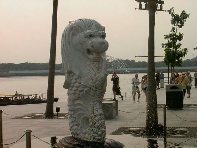 これが本物のシーライオン。ちっこいね<br />でもかわいい！ＯＫ！