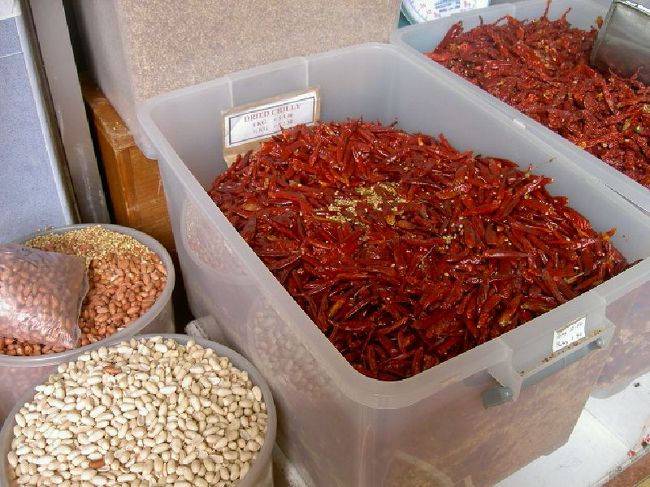 すごい容器に入った大量の唐辛子！見てるだけでよだれがでそう〜おいしそう