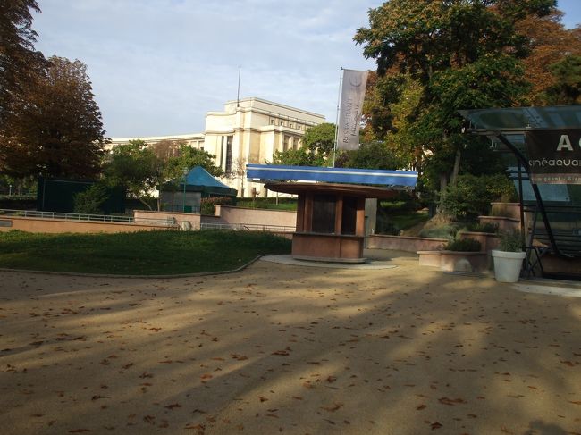 「シャイヨー宮の左翼」<br />メトロ①からＦ・Ｄ・ローズヴェルト駅乗換え⑨でトロカデロ駅下車。メトロから降りた乗客がオフイスビルのような白い建物の間に吸い込まれて行く。これがシャイヨー宮の入口だったのである。流れに乗らず、左の下り坂の道を歩き始めた。だれも付いてこない。やはり流れに乗るべきだったのか。<br />建物を回り込むとトロカデロ庭園に出た。、シャイヨー宮の左翼がが見えた。庭園の木立の向こうにエッフェル塔が聳え立っていた。