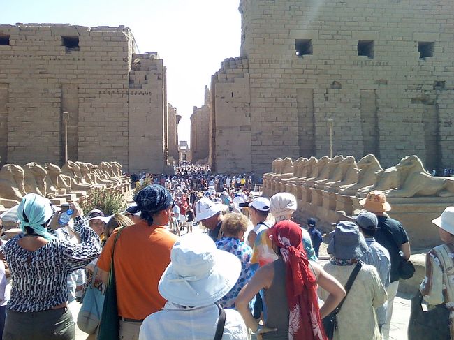 着きました！エジプト最大級の遺跡、カルナック神殿。<br />羊の頭をしたスフィンクスがずらり♪お出迎えしてくれます。<br />観光客もめちゃ多い！<br />ドイツ、スペイン、インド、中国・・いろんな言葉が飛び交ってました。