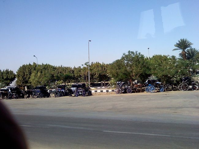 馬車乗りたかったなぁ〜。