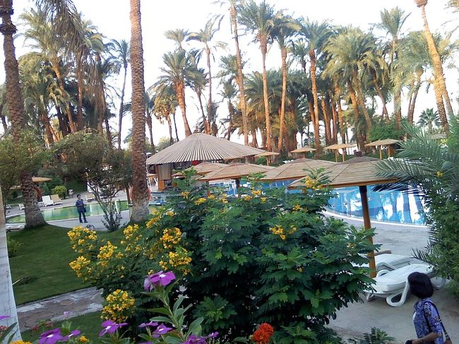 プールも雰囲気良かったです。