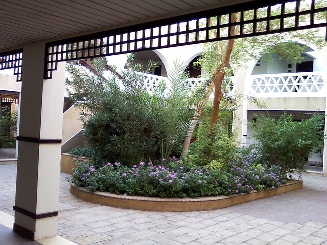 またまたソフィテルカルナックホテル内のコテージ。<br />朝も雰囲気良いです。