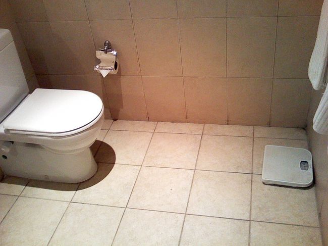 トイレに体重計も♪<br />トイレもちゃんと流れて安心（笑）<br /><br />ホテル以外のエジプトのトイレ事情は<br />・・・ほんとにショッキング(´Д｀lll)ﾋｨｨ <br /><br />扉→しまりません。<br />水→流れません。<br />大きな忘れ物→あります。。<br />トイレ係りに、1エジプトポンドのバクシーシを渡してトイレに入ってもこれが日常茶飯事。<br /><br />しゃべってるヒマがあったら掃除して〜って何度思ったことか(；△；)<br /><br />でもここは日本じゃない、エジプトなんだ！と、<br />大らかな気持ちにならないとイライラするだけ損（笑）<br />