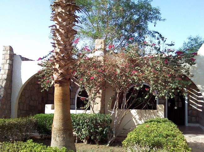 セティはコテージタイプ。<br />南国ムードたっぷりで雰囲気あります♪