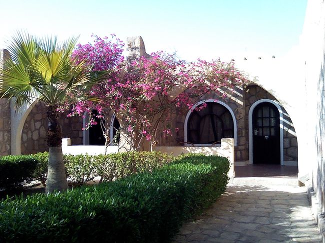 弾丸トラベラーでも、確かこのコテージに宿泊してたはず☆<br />お花がきれいでテンション上がります〜♪