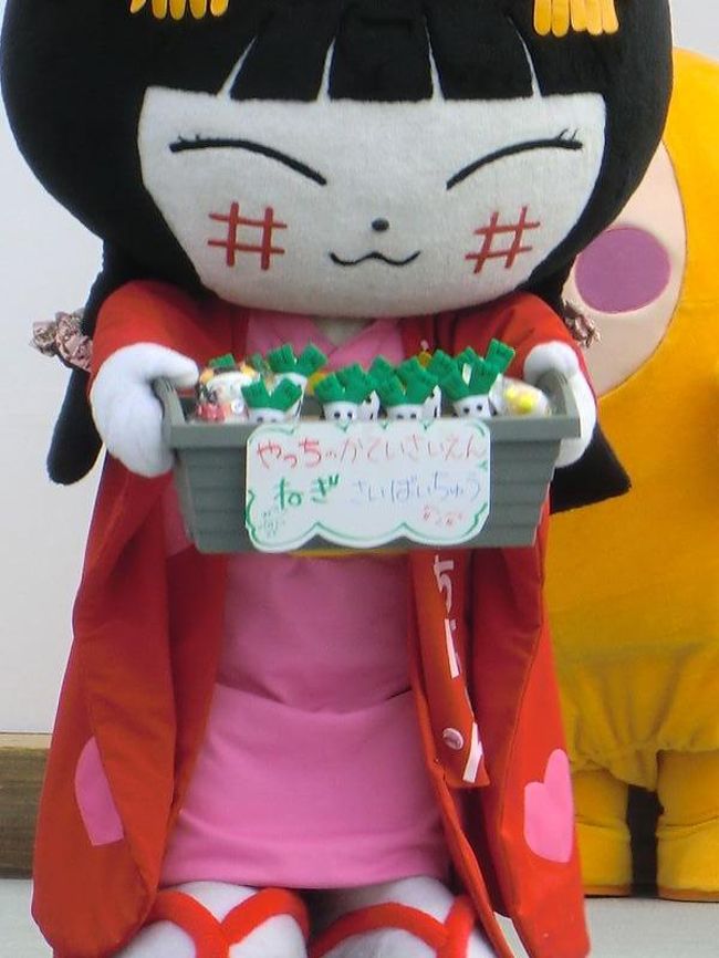 やちにゃんの手元にご注目！<br />いっぱいねぎっちょがいます！！<br /><br />やちにゃん（彦根市）<br />http://yachinyan.shiga-saku.net<br />１１月２８日（日）ゆるキャラ(R)サミットin羽生（埼玉県）には８０体ものゆるキャラが登場<br />ひこにゃんも登場予定！うらやましい。行ってみたいけどちょっと遠いかな！<br />http://www.city.hanyu.lg.jp/kurashi/madoguchi/syoukou/02_culture/04_kokuti/yuruchara/yuruchara2.html<br />